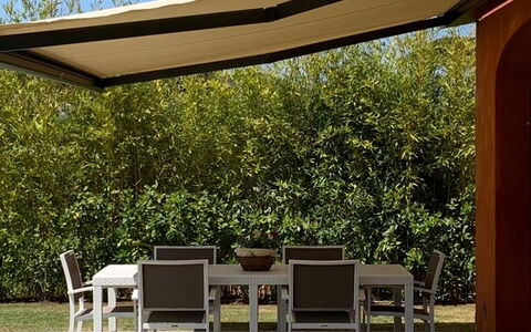 Uva: Plante, Meubles, Ciel, Communauté Des Plantes, Table, Ombre, Tableau De Plein Air, Mobilier De Jardin, Chaise, Arbre