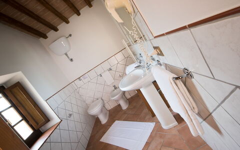 Logement:&nbsp;Suite 209