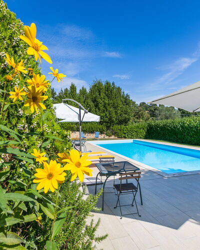 Trequanda 810: Fleur, Plante, L'Eau, Ciel, Jour, Nuage, Piscine, La Nature, Mobilier De Jardin, Ombre