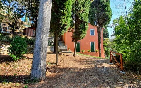 Collina Lagomare: Plante, Fenêtre, Bâtiment, Arbre, Branche, Bois, Lot Terre, Lumière Du Soleil, Maison, Surface De La Route
