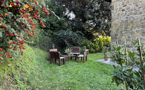 Batticapo di Ilaria: Plante, Communauté Des Plantes, Feuille, Fleur, Paysage Naturel, Herbe, Arbre, Biome, Arbuste, Couverture De Sol