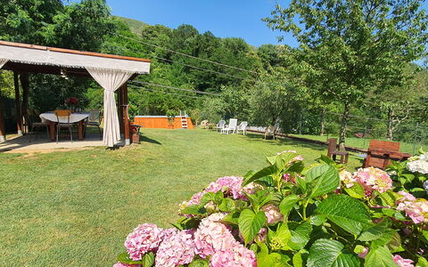 Casa Irene: Fleur, Plante, Ciel, Botanique, La Nature, Pétale, Arbre, Paysage Naturel, Herbe, Paysage