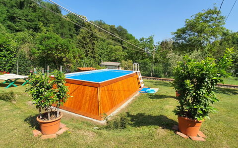 Casa Irene: Plante, Communauté Des Plantes, Ciel, Ombre, Mobilier De Jardin, Végétation, Pot De Fleur, Piscine, Arbre, Herbe
