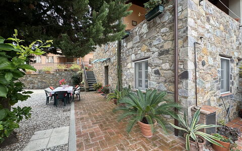 Casa Max: Plante, Propriété, Pot De Fleur, Bâtiment, Fenêtre, Plante D'Appartement, Architecture, Surface De La Route, Sol, Arbre