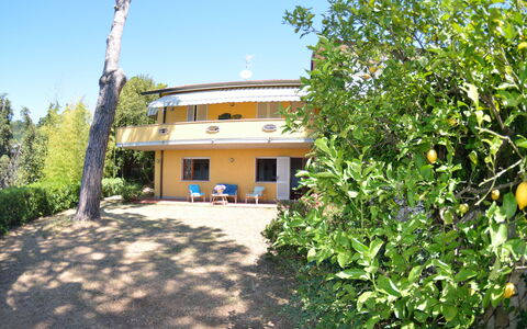 Il Corbezzolo: Propriété, Maison, Immobilier, Bâtiment, Domicile, Chalet, Arbre, Villa, Biens, Lot Terre