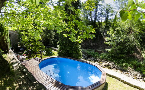 Il Molino: Plante, L'Eau, Communauté Des Plantes, La Nature, Botanique, Paysage Naturel, Arbre, Végétation, Cours D'Eau, Ombre