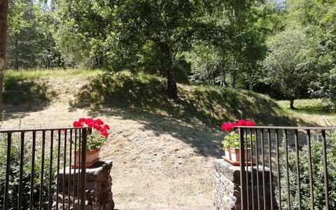 Vignoli: La Nature, Végétation, Arbre, Propriété, Jardin, Botanique, Réserve Naturelle, Printemps, Plante, Herbe