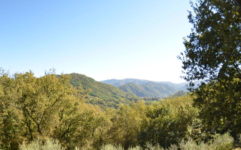Vignoli: Montagnes Relief, Végétation, La Nature, Paysage Naturel, Arbre, Ciel, Montagne, Région Sauvage, Environnement Naturel, Colline