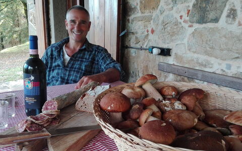 Vignoli: Aliments, Ingrédient, Cuisine, Plat