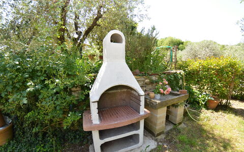 Petra: Jardin, Maison, Cour, Plante, Arrière-Cour