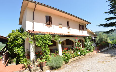 Petra: Propriété, Maison, Bâtiment, Immobilier, Domicile, Villa, Zone Rurale, Arbre, Façade, Architecture