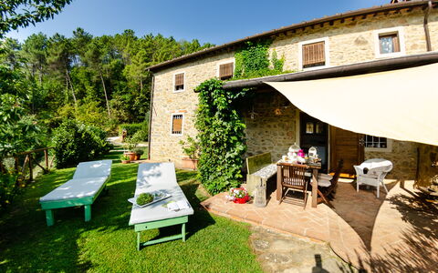 Podere L'istrice: Propriété, Maison, Bâtiment, Arrière-Cour, Cour, Domicile, Immobilier, Architecture, Pièce, Herbe