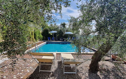 Podere San Martino: L'Eau, Piscine, Nuage, Ciel, Ombre, Arbre, Plante, Paysage Naturel, Loisir, Paysage