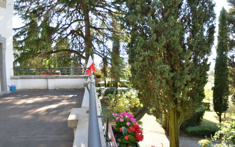 Villa Il Borghetto: Arbre, Plante, Fleur, Printemps, Architecture, Passerelle, Parc, Arbuste