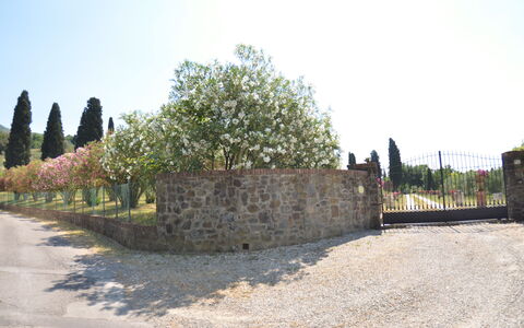 Villa Il Borghetto: Mur, Arbre, Lot Terre, La Photographie, Mur De Pierre, Histoire, Paysage, Site Historique, Tourisme, Bâtiment