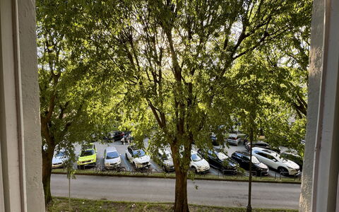 Alle Mura: Véhicule, Voiture, Arbre, Véhicule À Moteur, Roue, Transport, Automotive Exterieur