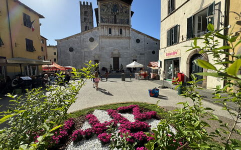 Casina Bella Di Lucca: Bâtiment, Fenêtre, Ville, Façade, Pot De Fleur, Parapluie, Tableau De Plein Air, Mobilier De Jardin, Plante D'Appartement, Centre De La Ville