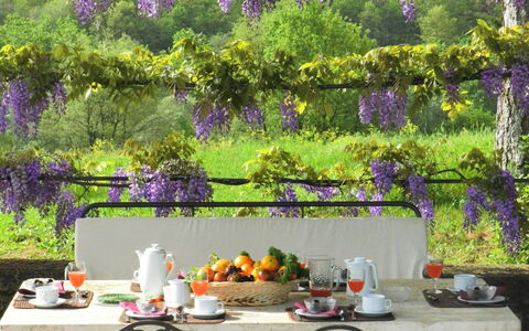 Villa Fabbri: Violet, Lavande, Jardin, Lilas, Printemps, Arbre, Plante, Fleur, Table, Patio