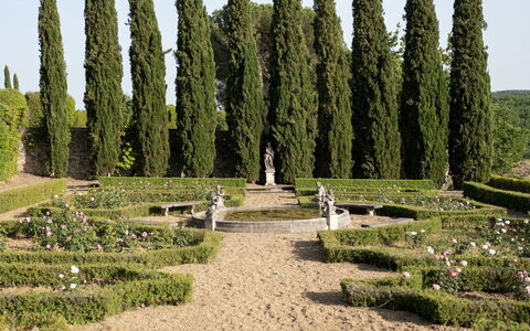 Terrazza e Libreria: Plante, Ciel, Nuage, Végétation, Arbre, Herbe, Paysage Naturel, Haie, Biome, À Feuilles Persistantes