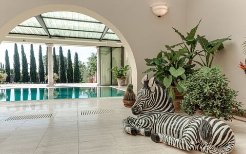 Terrazza e Libreria: Plante, Design Intérieur, Bâtiment, Fenêtre, Arbre, Arecales, Sol, Bois, Immobilier, Herbe