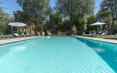 Villa Ivana - Cortona: Piscine, Propriété, Immobilier, Loisir, Maison, Bâtiment, Biens, Recours, Domicile, Arbre