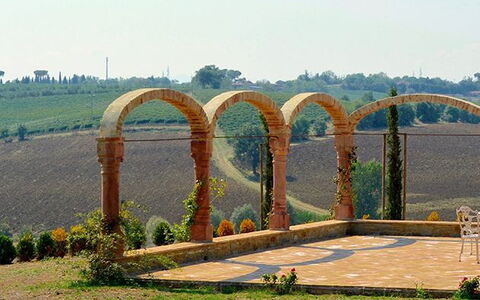 Luna Di Cortona: Cambre, Architecture, Arbre, Herbe, Pont, Lot Terre, Paysage, Pont En Arc, Plante, Route