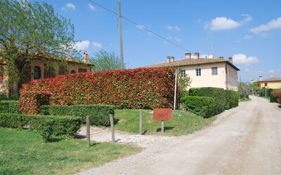 Casa Marcello - Ciliegio: Nuage, Ciel, Plante, Propriété, Communauté Des Plantes, Fleur, Bâtiment, Fenêtre, Éclairage Public, Lot Terre