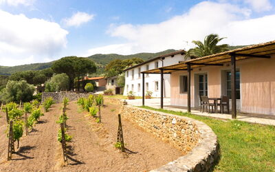 Logement:&nbsp;Monolocale (2+1pax)