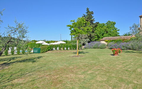 I Glicini: Propriété, Lot Terre, Herbe, Immobilier, Prairie, Arbre, Maison, Famille Grass, Pelouse, Cour