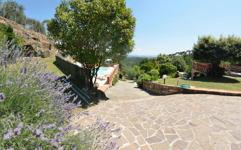 Agli Olivi: Propriété, Jardin, Arbre, Botanique, Immobilier, Paysage, Passerelle, Aménagement Paysager, Plante, Maison