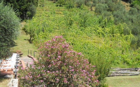 Aurora: Végétation, Jardin, Arbre, Jardin Botanique, Botanique, Plante, Arbuste, Communauté Des Plantes, Paysage, Fleur
