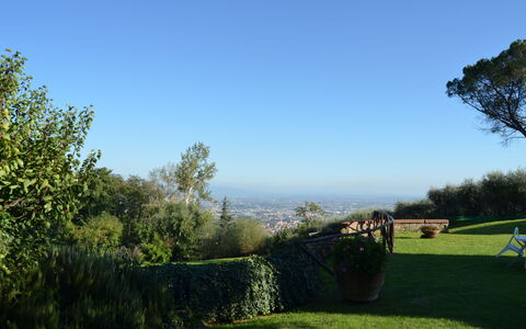 Aurora: Ciel, Vert, Arbre, Herbe, Matin, Nuage, Zone Rurale, Feuille, Famille Grass, Lot Terre