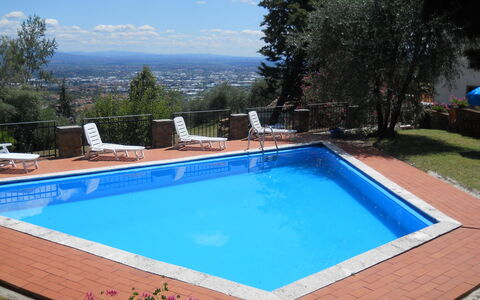 Aurora: Piscine, Propriété, Loisir, Rectangle, Immobilier, Maison, Herbe, Arrière-Cour, Composite, Bâtiment