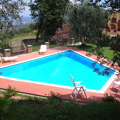 Aurora: Piscine, Propriété, Loisir, Herbe, Maison, Immobilier, Arrière-Cour, Rectangle, Bâtiment, Cour