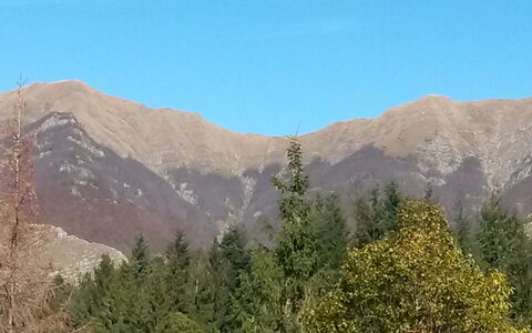 Ai Cuori: Montagnes Relief, Montagne, Région Sauvage, Montagnes, Végétation, Colline, Crête, Chaîne De Montagnes, Station De Montagne, Arbre