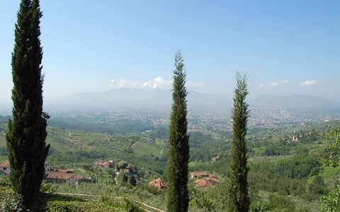 Borgo Antico Paolo: Arbre, Station De Montagne, Végétation, Conifères Tropicale Et Subtropicale Forêts, Région Sauvage, Biome, Plante, Communauté Des Plantes, Forêt, Montagne