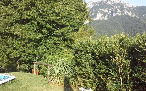 Emilia: Plante, Montagne, Paysage Naturel, Arbre, Végétation, Biome, À Feuilles Persistantes, Herbe, Suppression Des Plantes Ligneuses, Couverture De Sol