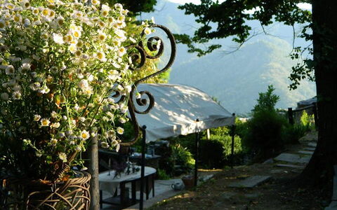 Emilia: Plante, Arbre, Maison, Herbe, Loisir, Ciel, Paysage, Fleur, Arbuste, Banc