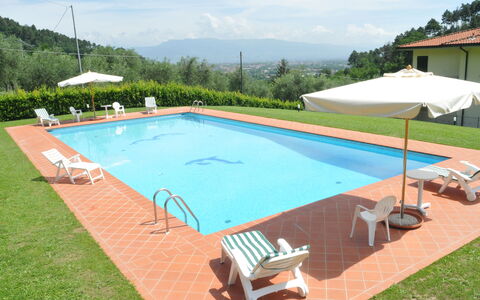 Villa Vaniglia Proprietà: Piscine, Propriété, Herbe, Loisir, Immobilier, Maison, Ombre, Rectangle, Bâtiment, Villa