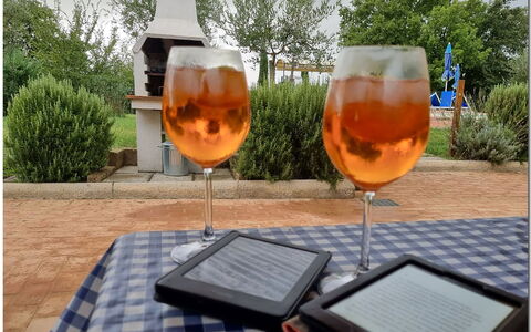 Villetta Di Cortona: Vaisselle, Plante, Drinkware, Table, Verres À Pied, Bar, Arbre, Orange, Chaise