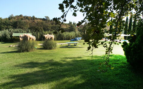 Agriturismo Girasole: Pelouse, Herbe, Paysage Naturel, Vert, Prairie, Pâturage, Arbre, Lot Terre, Environnement Naturel, Prairie