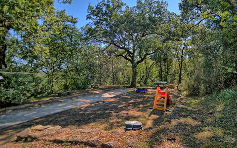 Sole Nel Prato: Arbre, Végétation, Environnement Naturel, Paysage Naturel, Région Sauvage, Réserve Naturelle, Forêt, Herbe, Biome, Suppression Des Plantes Ligneuses