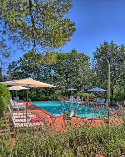 Sole Nel Prato: Propriété, Immobilier, Arbre, Réserve Naturelle, Ciel, Botanique, Maison, Piscine, Loisir, Jardin