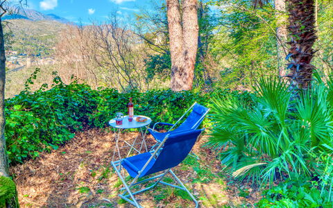 Olivi Del Mesco - Levanto: Végétation, Bleu Majorelle, Arbre, Biome, Paysage Naturel, Forêt, Réserve Naturelle, Plante, Jungle, Terrestre Des Plantes