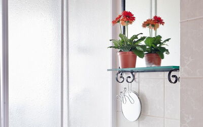 Logement:&nbsp;Francesca