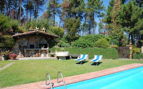 Al Mennucci: Propriété, Piscine, Immobilier, Arrière-Cour, Maison, Cour, Domicile, Herbe, Loisir, Biens