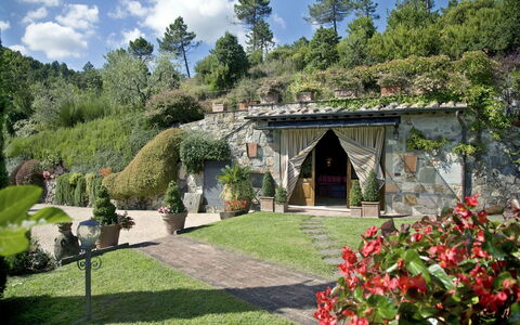 Al Mennucci: Jardin, Propriété, Paysage Naturel, Jardin Botanique, Bâtiment, Cour, Maison, Biens, Aménagement Paysager, Botanique