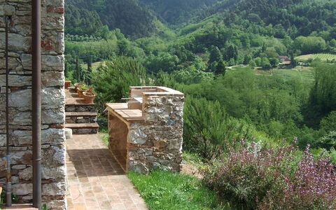 Bottino: Mur, Paysage Naturel, Mur De Pierre, Paysage, Arbre, Roche, Zone Rurale, Herbe, Communauté Des Plantes, Plante