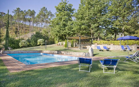 Broccolo: Piscine, Propriété, Immobilier, Arrière-Cour, Maison, Loisir, Herbe, Domicile, Bâtiment, Biens