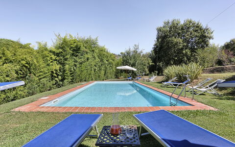 Casa Rosa: Piscine, Propriété, Herbe, Loisir, Immobilier, Arbre, Maison, Arrière-Cour, Domicile, Biens